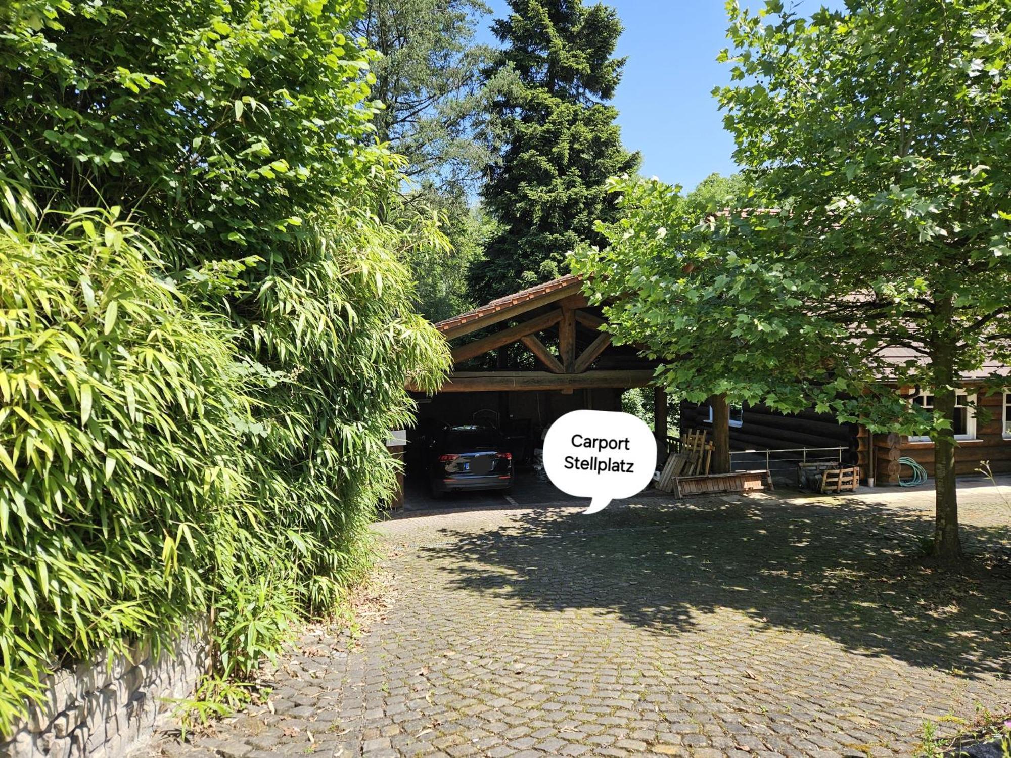 Wieapart - Ruhig Im Gruenen, Parkplatz, Zw. Dus/Cgn レバークーゼン エクステリア 写真